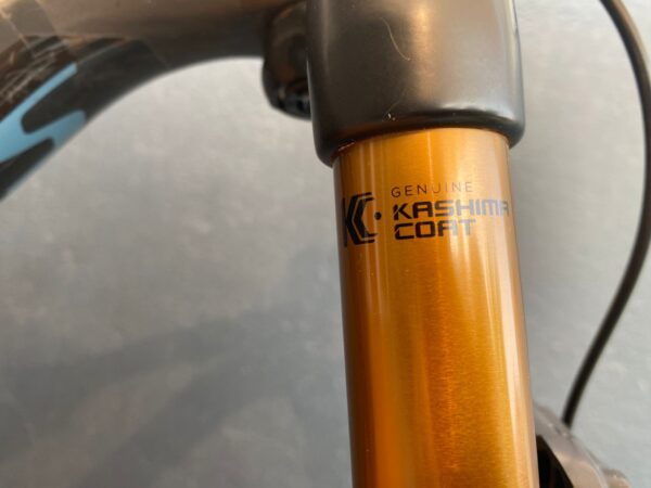 Specialized Stumpjumper Sworks Short Travel Talla M - Image 28