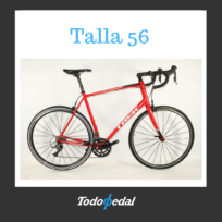 Trek Domane AL 2 Talla 56