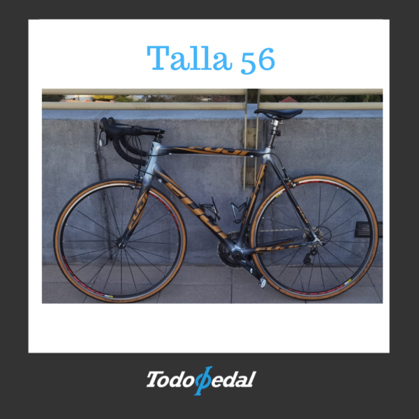 Fuji Roubaix Talla 56