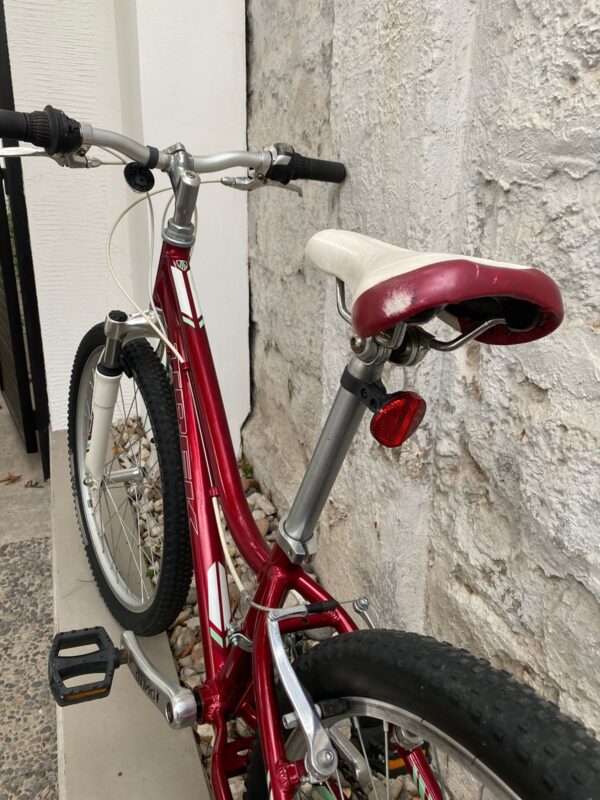 TREK MT 220 GIRL ROJO ARO 24 - Image 7