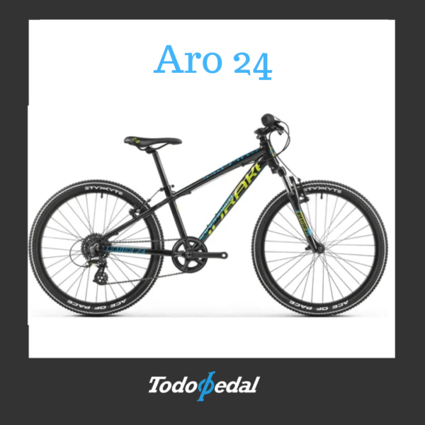 Mondraker Leader Aro 24