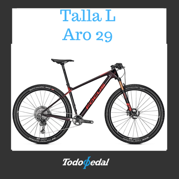 Focus Raven Max Talla L