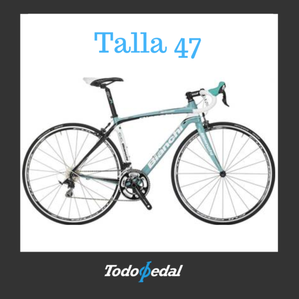 Bianchi Infinito Talla 47