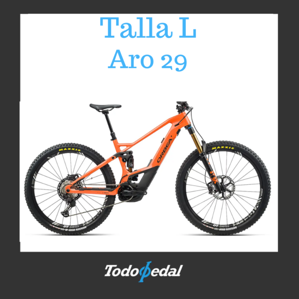 Orbea Wild Team carbon Talla L