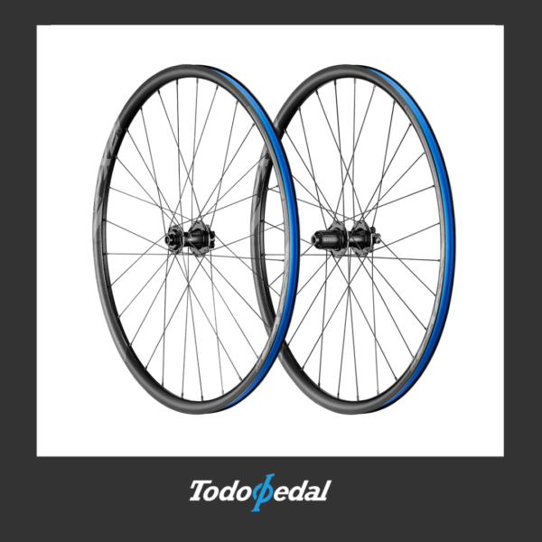 Rueda Giant PX2 + neumático