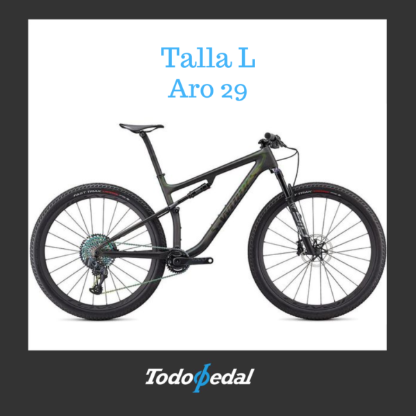 Epic S-works Talla L