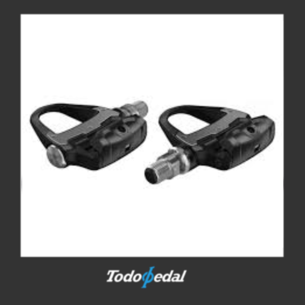 Garmin Rally RK200