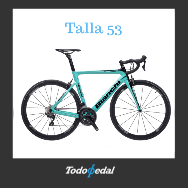 Bianchi Aria Carbon Talla 55