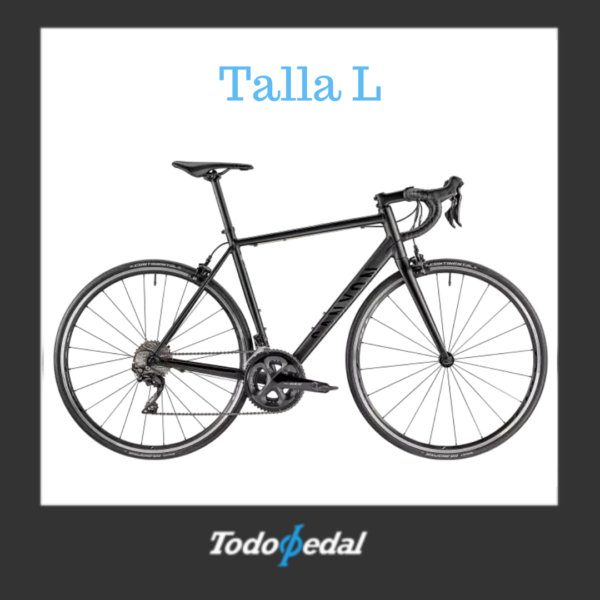 Canyon Endurance Al Talla L