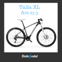 Bianchi Ethalon 27.1 Talla XL
