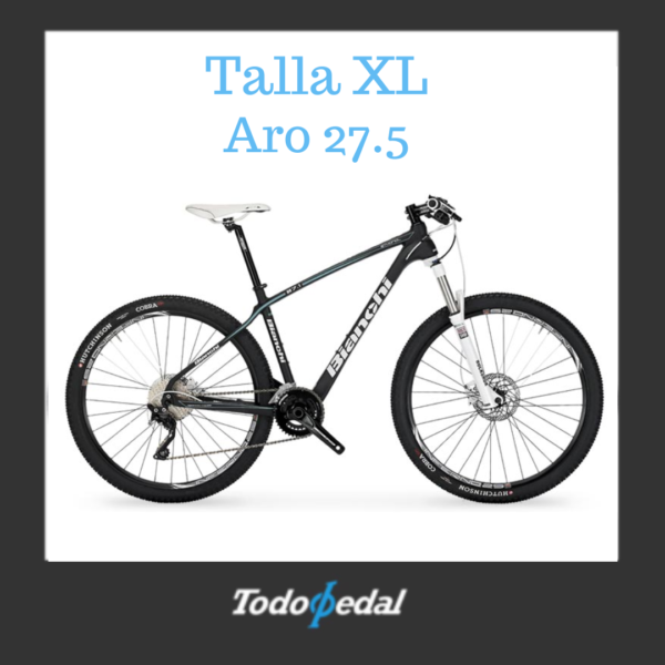 Bianchi Ethalon 27.1 Talla XL
