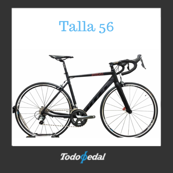 Ditec 912 AL Talla 56