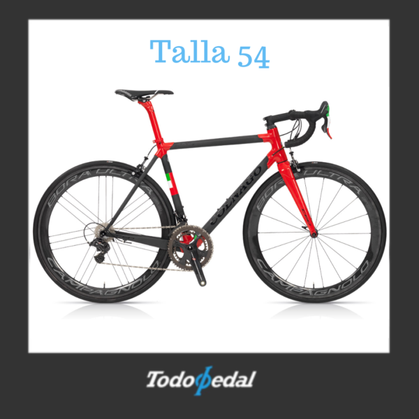 Colnago C60 Talla 54