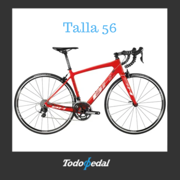 BH Quartz Talla 56