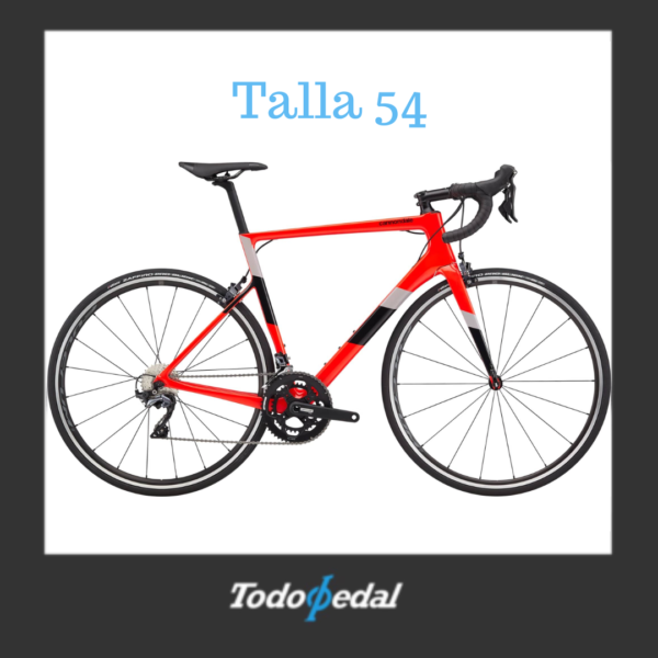 Cannondale Supersix Evo Talla 54