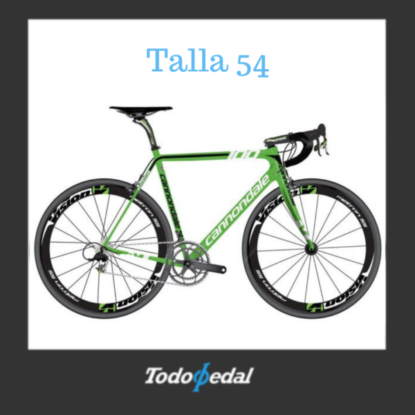 Cannondale Evo Peter Sagan Limeted Edition Talla 54